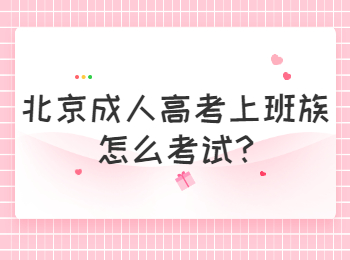 北京成人高考上班族怎么考試