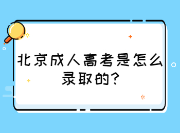 北京成考網 北京成考答疑