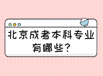 北京成考本科專業(yè)有哪些
