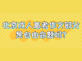 北京成人高考作文部分是自由命題嗎