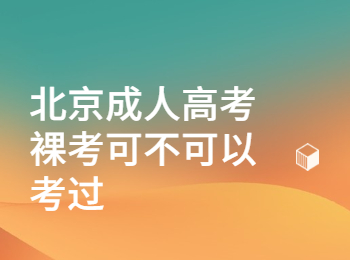 北京成人高考裸考