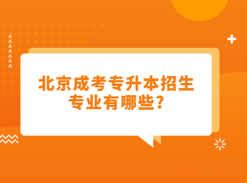 北京成考專升本招生專業