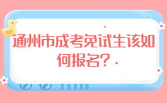 通州市成考免試生該如何報(bào)名